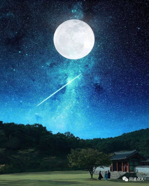 韩剧云画的月光好看吗