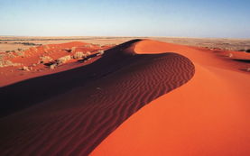 红色沙漠在线观看